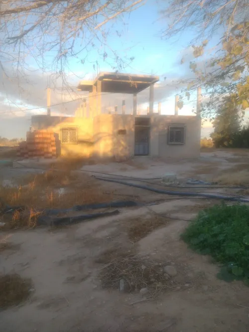 Vente Terrain Agricole M'Sila Bou saada