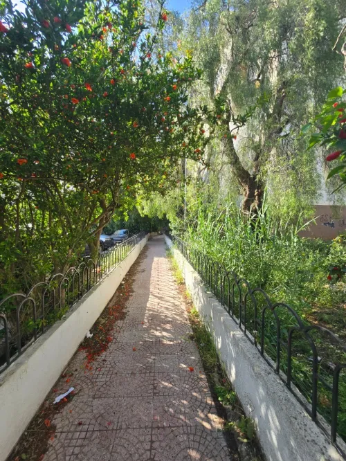 Vente Appartement F3 Alger Kouba