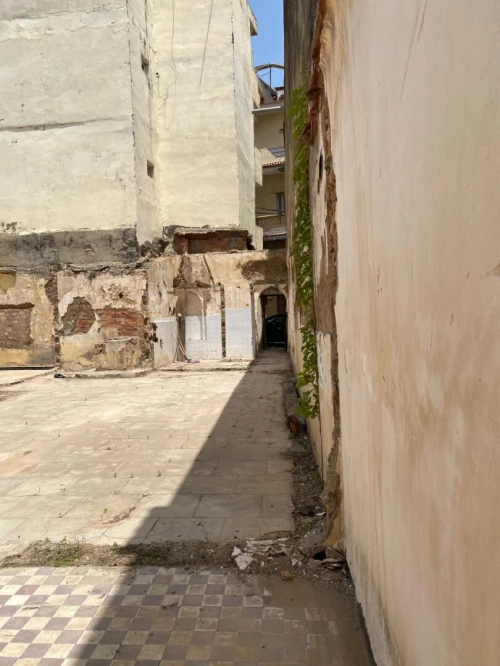 Vente Terrain Tipaza Kolea