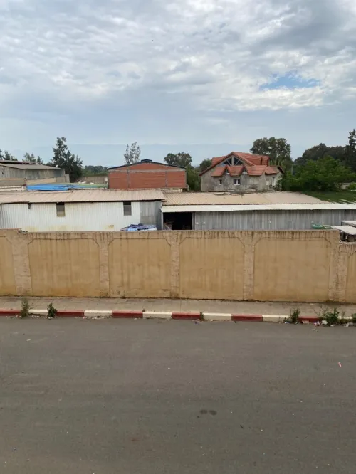 Vente Appartement F3 Tipaza Kolea