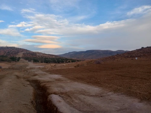 Vente Terrain M'Sila Hammam dhalaa
