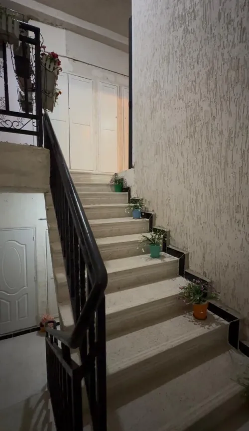 Vente Appartement F4 Alger Bouzareah