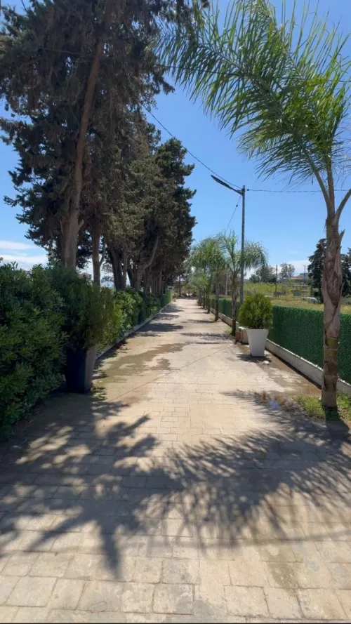 Location Appartement F2 Alger Staoueli