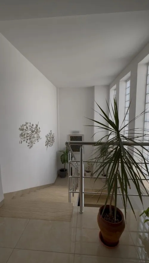 Vente Appartement F7 Alger Cheraga