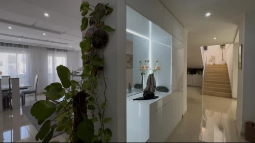 Vente Appartement F7 Alger Cheraga