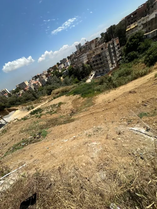 Vente Terrain Alger Bouzareah