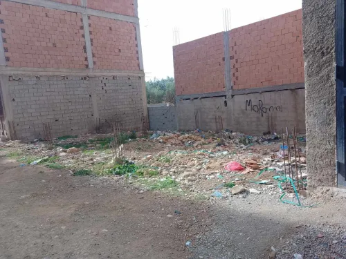 Vente Terrain Tlemcen Sabra