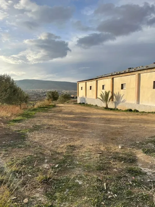 Vente Hangar - Usine Bordj Bou Arreridj Bordj ghedir