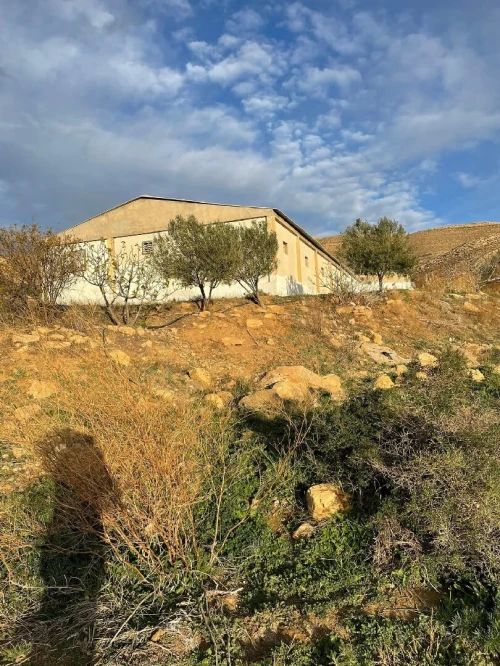 Vente Hangar - Usine Bordj Bou Arreridj Bordj ghedir