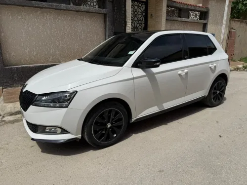 Skoda Fabia 2020 Monte Carlo