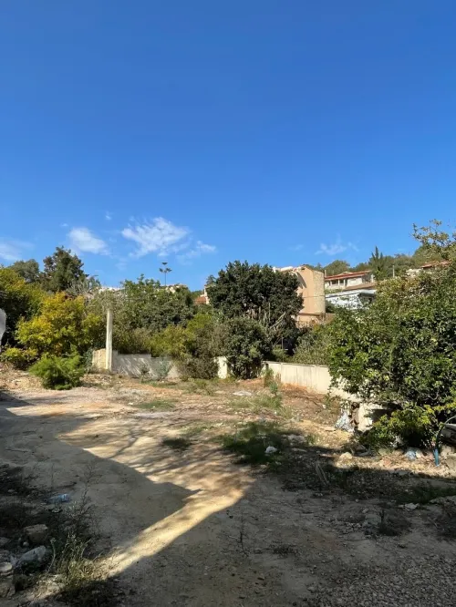 Vente Terrain Alger El achour