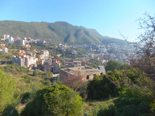 Vente Terrain Béjaïa Bejaia