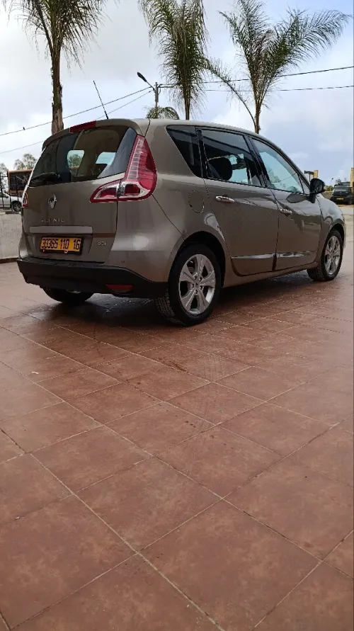 Renault Scenic 2010 Bosse