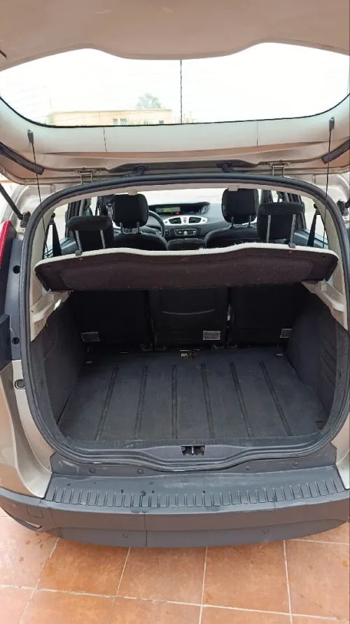Renault Scenic 2010 Bosse
