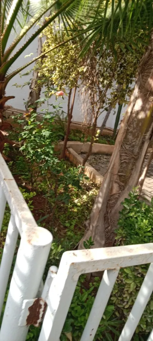 Vente Villa Alger Hydra