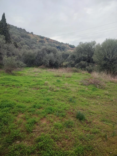 Vente Terrain Boumerdès Beni amrane