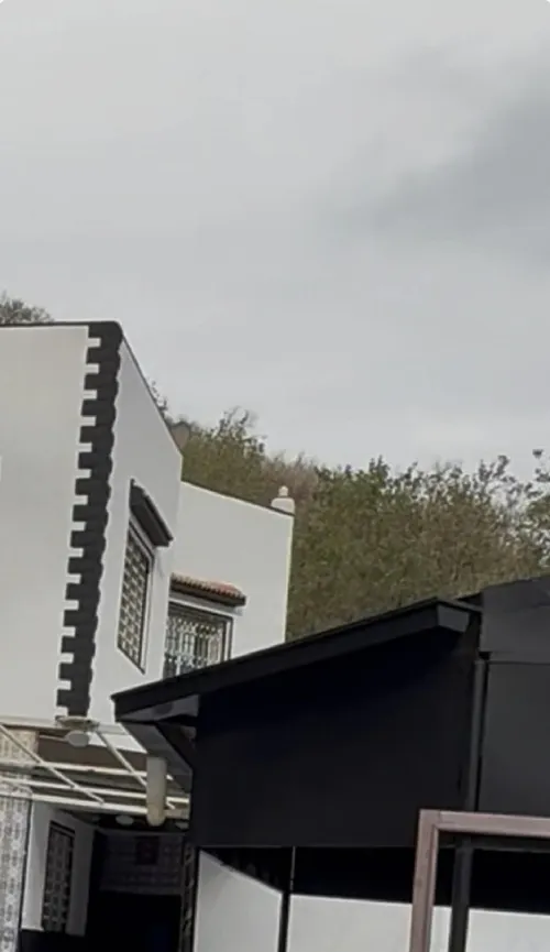 Vente Terrain Agricole Tlemcen Tlemcen