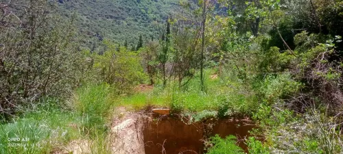 Vente Terrain Agricole Tlemcen Tlemcen