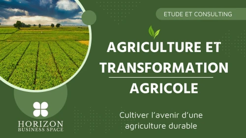 Etude technico-économique,Business Plan/Financement ICOSIA CAPITAL, NESDA, AAPI, ASF