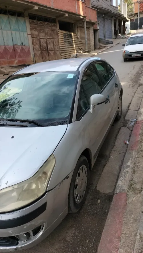Citroen C4 2006 Vitamine