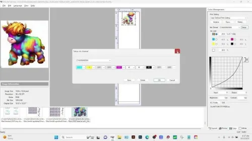 Acrorip v11.2