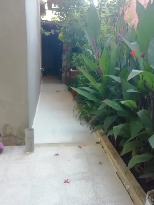 Vente Villa Guelma Ain reggada