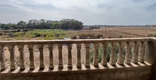 Location Villa Alger Cheraga