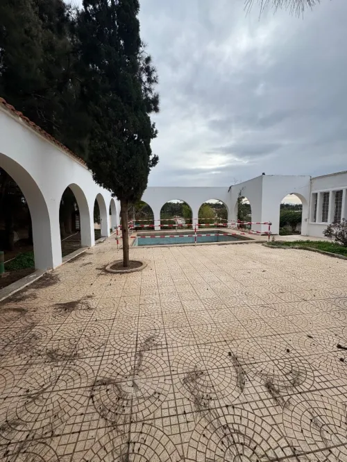 Location Terrain Alger Staoueli