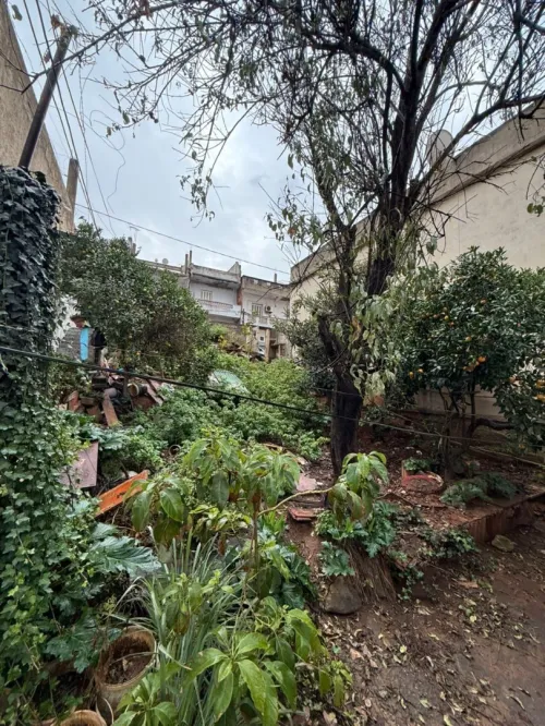 Vente Terrain Alger Bir mourad rais