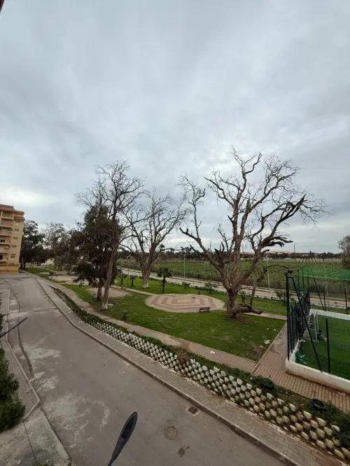 Vente Appartement Duplex F6 Alger Staoueli