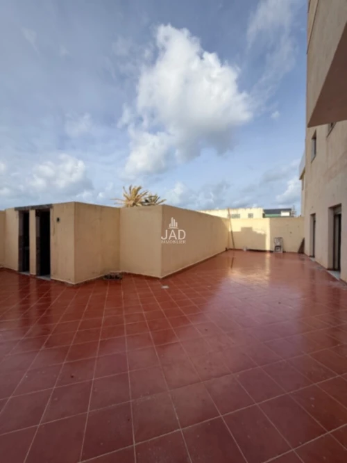 Location Local Alger Hammamet