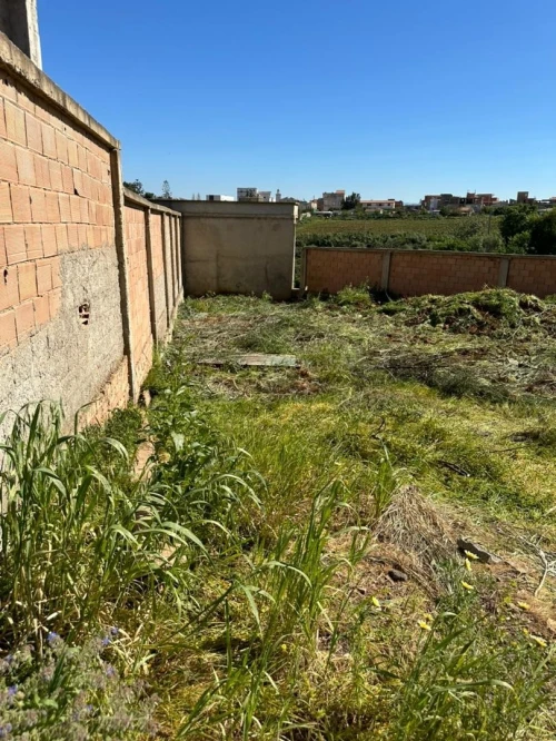 Vente Terrain Alger Birkhadem