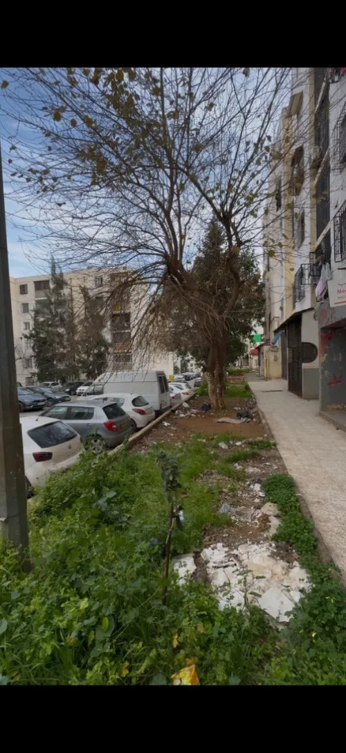 Vente Local Alger Birkhadem