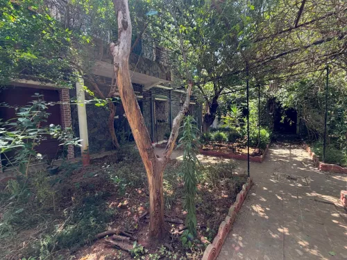 Vente Villa Alger Kouba