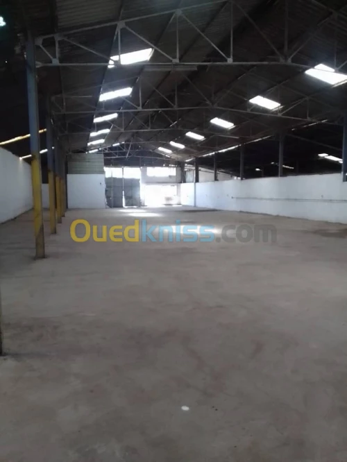 Vente Hangar Alger Gue de constantine