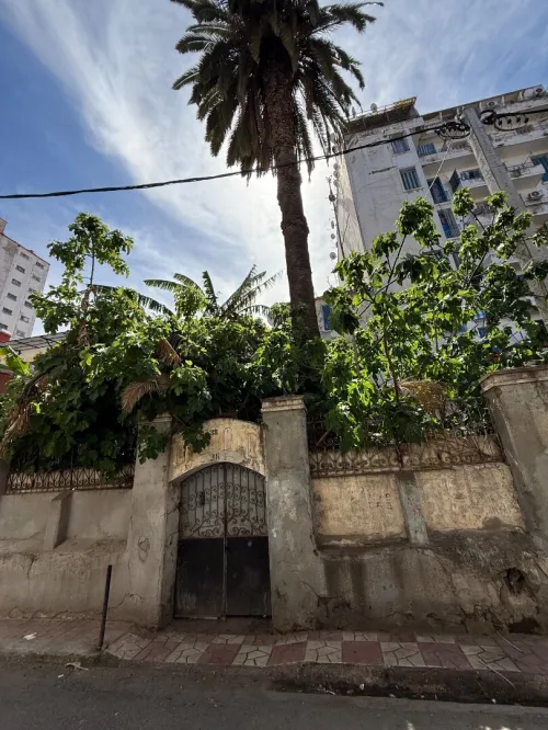 Vente Terrain Alger Sidi mhamed