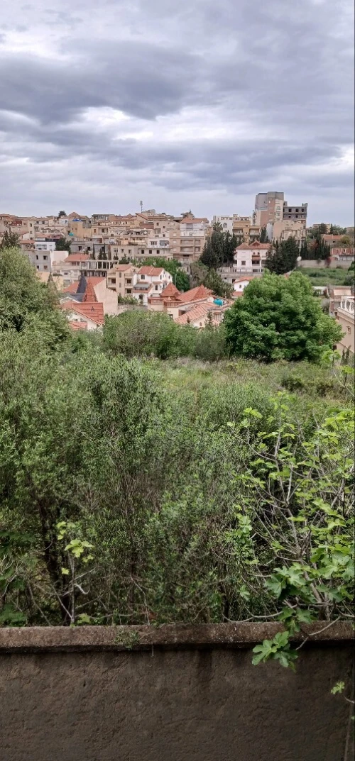 Vente Terrain Alger El achour