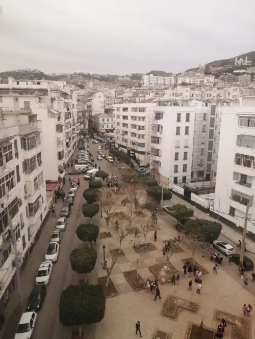 Vente Appartement Studio Alger Bab el oued