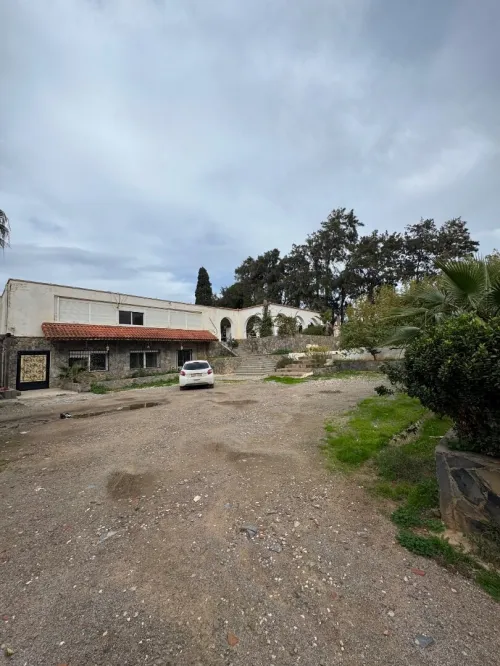 Location Terrain Alger Staoueli