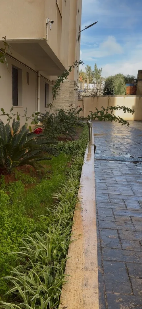 Vente Appartement F4 Alger Cheraga