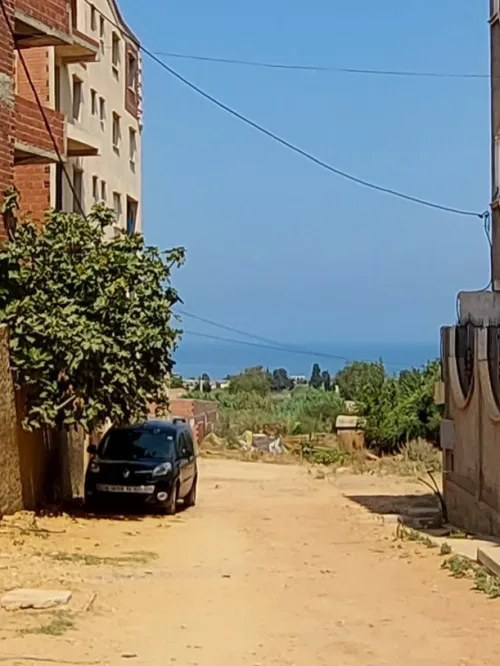 Vente Terrain Tipaza Kolea