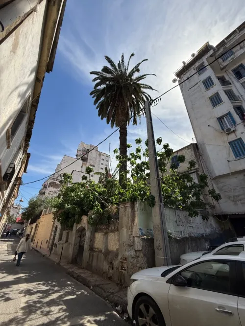 Vente Terrain Alger Sidi mhamed