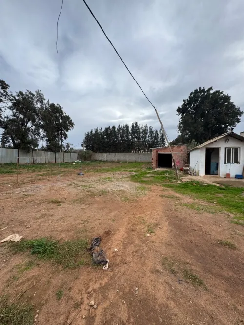 Location Terrain Alger Staoueli