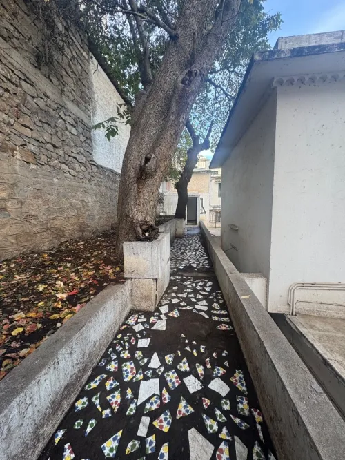 Location Villa Alger Hydra