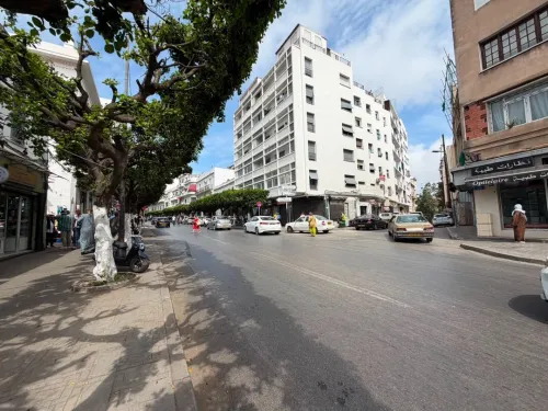 Location Appartement F4 Alger El biar