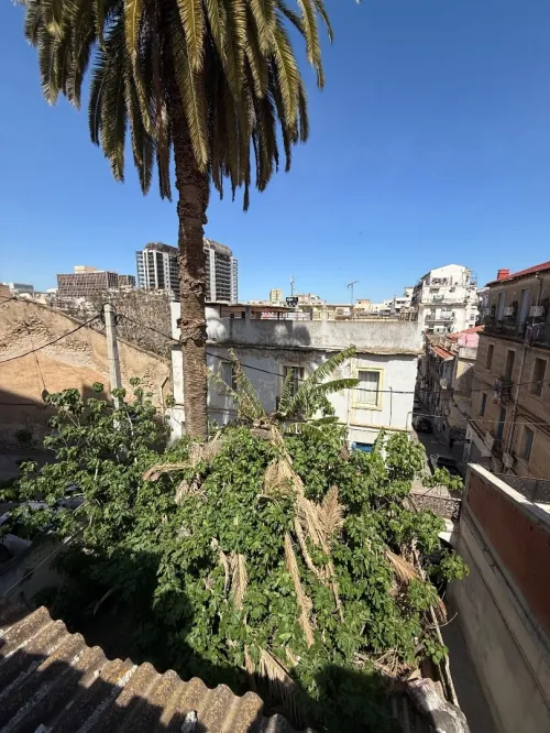 Vente Terrain Alger Sidi mhamed