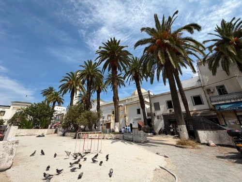Vente Appartement F4 Alger El biar