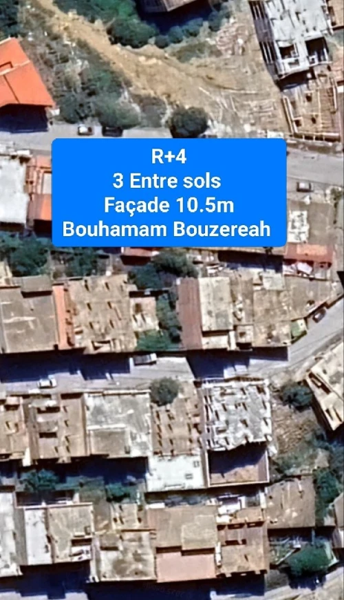 Vente Terrain Alger Bouzareah