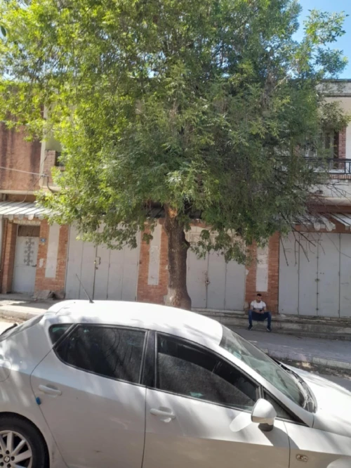 Vente Villa Boumerdès Bordj menaiel