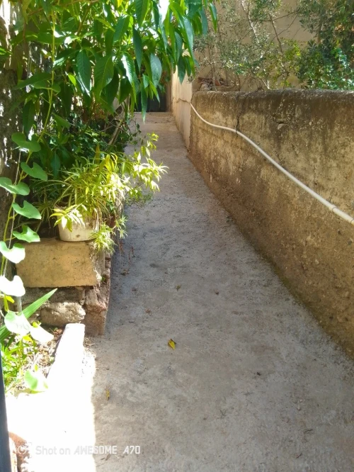 Vente Immeuble Blida Blida